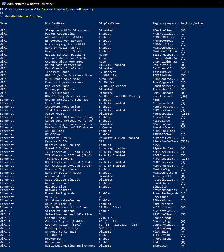Get-NetAdapterAdvancedProperty_output.png