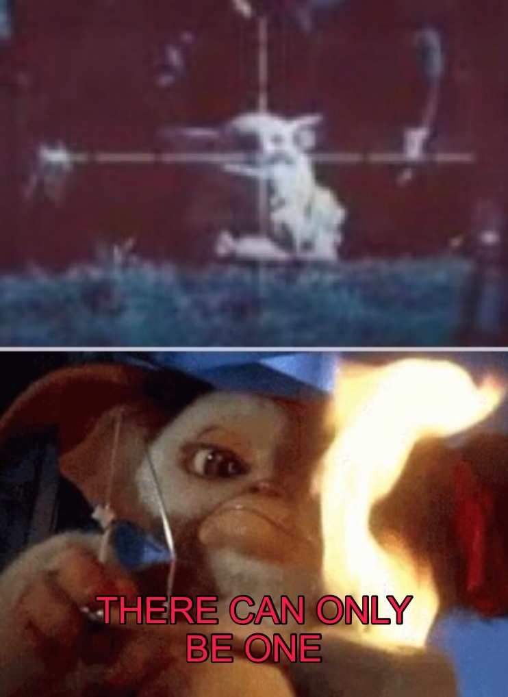 gizmo vs grogu.jpeg